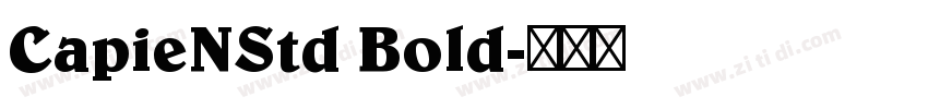 CapieNStd Bold字体转换
